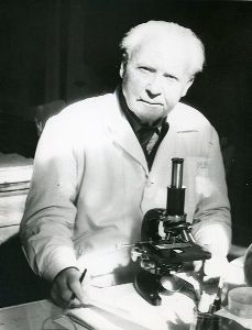 MihaiBacescu